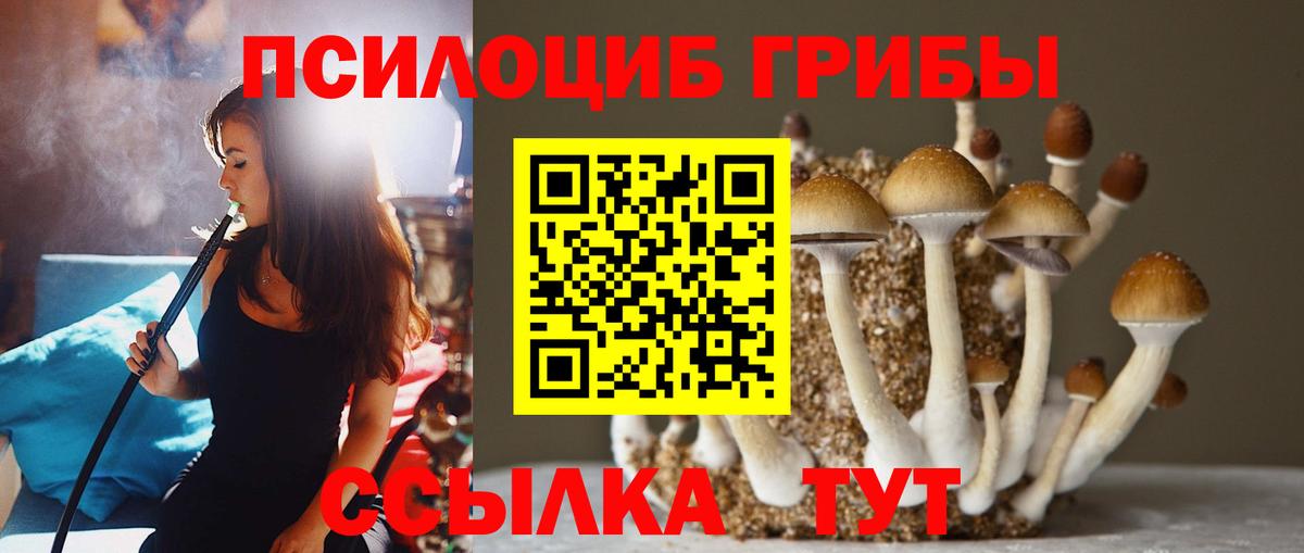 Кыштым  Псилоцибиновые грибы MAGIC MUSHROOMS  Вход с VPN 